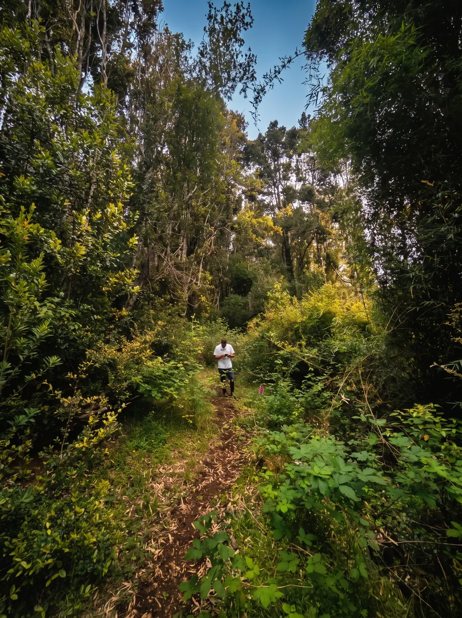 Sendero interior
