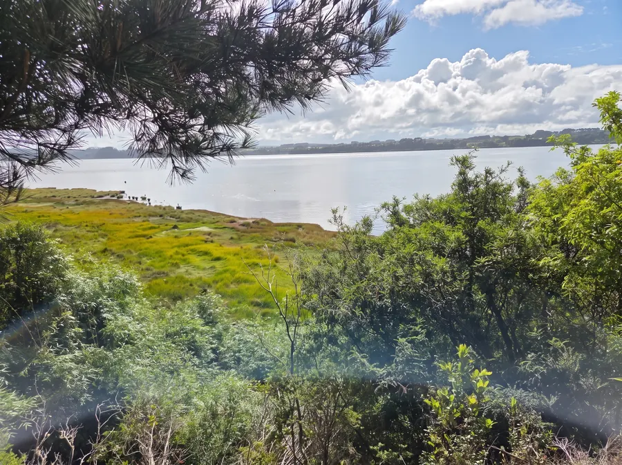 El estuario desde el predio